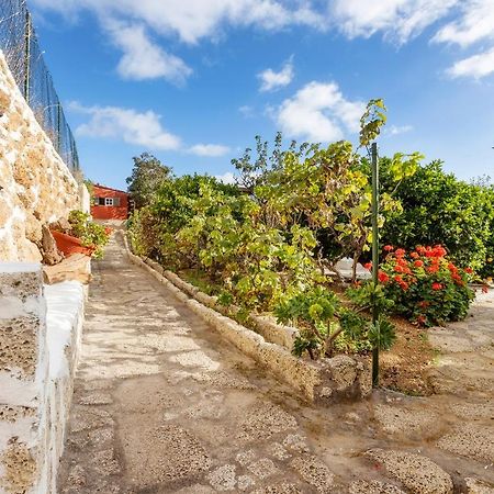 Mountain Getaway For Hikers 2 Βίλα Arafo Εξωτερικό φωτογραφία